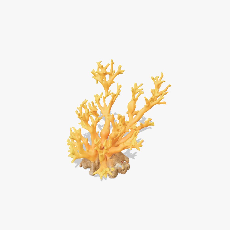 Vivid Coral Reef model pack